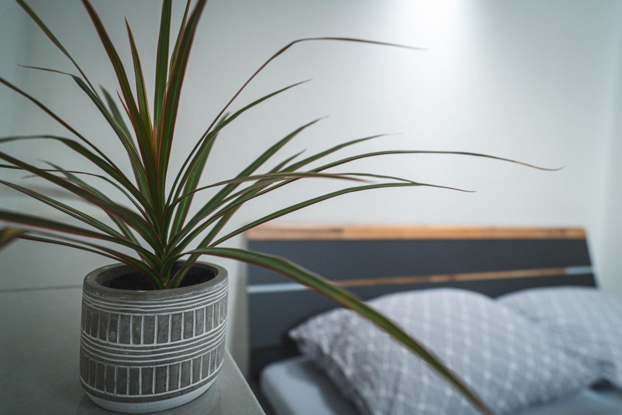 Apartmany V Podzamci Nachod Ngoại thất bức ảnh